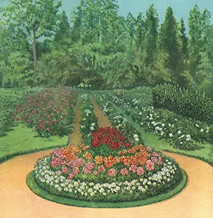 Carefully: Circular Rose Bed