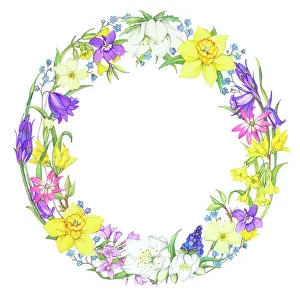 Stroud: Circular Spring Flower Border