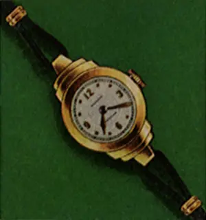 Bezel: Circular Watch