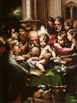Circumcision: The Circumcision