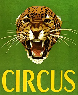Inviting: Circus