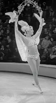 Pigeon: Circus show