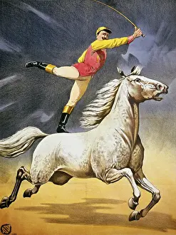 Dapple: circus, acrobatics, balancing act, Kunstreiter