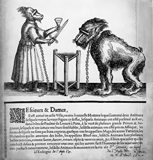 Interfoto Agentur: circus, animal training, announcement of a act