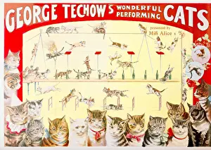 Friedlander: circus, animal training, George Techow?s Wonderful