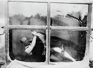 Alligators: Circus artist in an underwater-tank