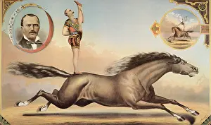 Bareback: Circus Bareback Rider