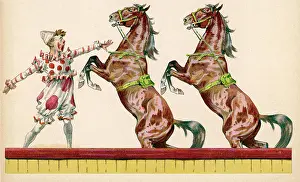 Joker: CIRCUS CLOWN AND HORSES