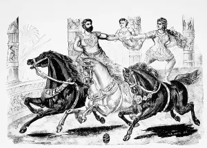 Daredevil: Circus - Daredevil - Entertainment - Horse