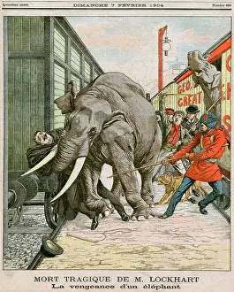 Walthamstow: CIRCUS ELEPHANT ACCIDENT