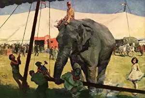 Ringmaster: Circus Elephant at Work