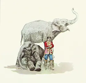 Triumphantly: Circus Elephants, Man