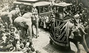 Ringling: Circus elephants on parade - Ringling Circus, Washington DC