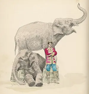 Garnier: Circus elephants and their trainer