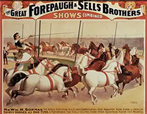Forepaugh: Circus - Entertainment - Animals