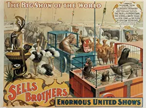 Daredevil: Circus - Entertainment - Animals