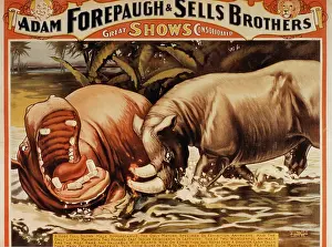 Forepaugh: Circus - Entertainment - Animals