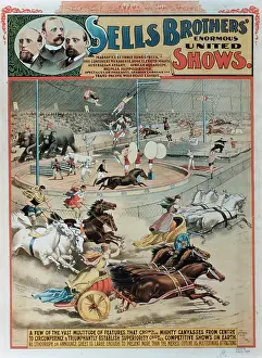 Daredevil: Circus - Entertainment - Animals