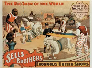 Daredevil: Circus - Entertainment - Animals