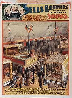 Daredevil: Circus - Entertainment - Animals