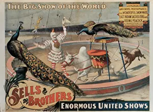 Daredevil: Circus - Entertainment - Animals