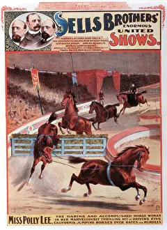 Bareback: Circus - Entertainment - Animals