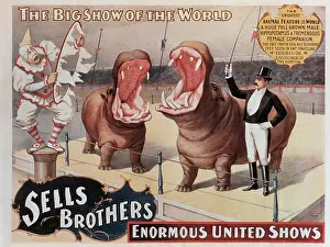 Daredevil: Circus - Entertainment - Animals