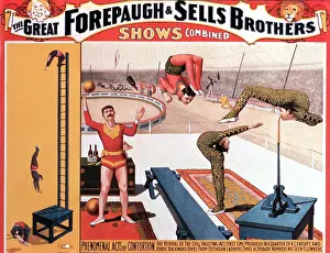 Contortionists: Circus - Entertainment - Forepaugh & Sells