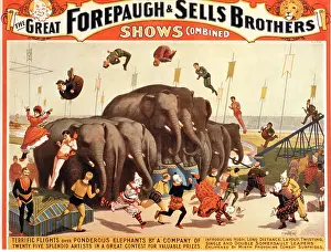 Forepaugh: Circus - Entertainment - Forepaugh & Sells