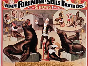 Forepaugh: Circus - Entertainment - Forepaugh & Sells
