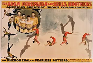 Forepaugh: Circus - Entertainment - Trapeze