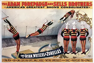 Forepaugh: Circus - Entertainment - Trapeze