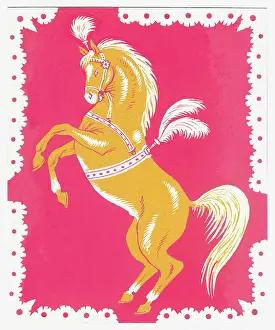 Felicity: Circus Horse ? on its hind legs