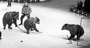 Gory: Circus on ice, 1974