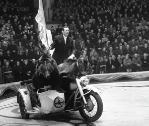 Tsvetnoy: Circus performance