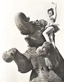 Ov1607: Circus performer posing on elephant
