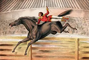 Acrobatic: Circus performer riding a vaulting horse bareback