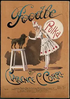 Obeying: CIRCUS POODLE
