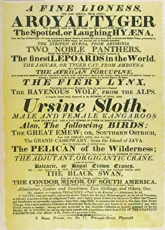 Polito: CIRCUS POSTER/POLITO'S