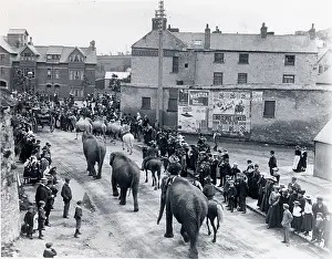 Wheatley: Circus procession, Haverfordwest, Wales