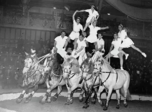 Daredevil: Circus riders in the Christmas program