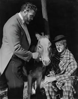 Ponies: Circus ringmaster, clown and pony