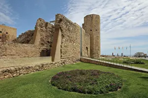 Daurada: Circus, Tarragona, Catalonia, Spain