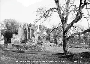 Cistercian: The Cistercian Abbey of Inch, Downpatrick
