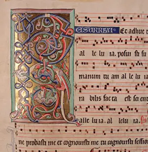 Zwettl: Cistercian gradual