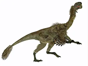 Oviraptorid: Citipati female dinosaur, side profile