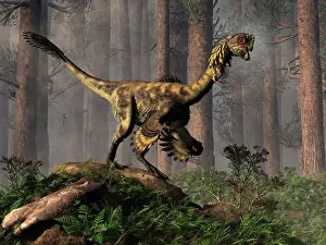 Oviraptorid: A Citipati in a fern covered forest