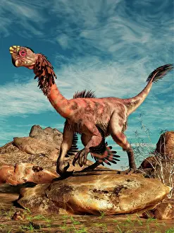 Paleogeography: Citipati on a rock in an arid landscape