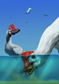 Mongolia: Two Citipati's hunting crabs