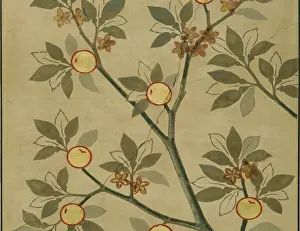 Cracking: Citrus aurantium, bitter orange